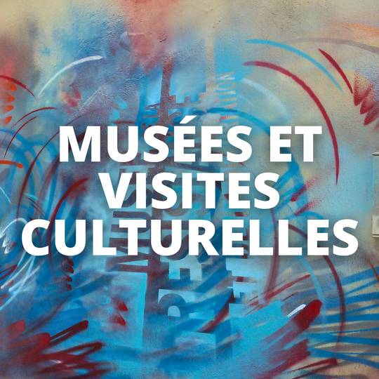 Musées et visites culturelles (1).png
