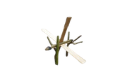 images site eterpa.png